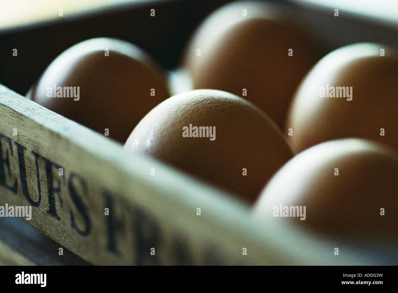 Crate of eggs Stock Photo Alamy