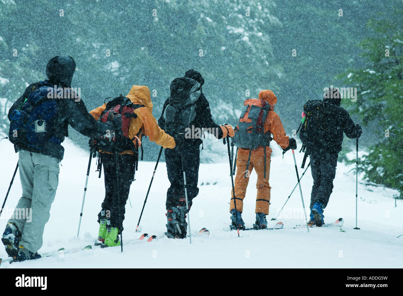 Crosscountry skiers, single file, rear view Stock Photo Alamy