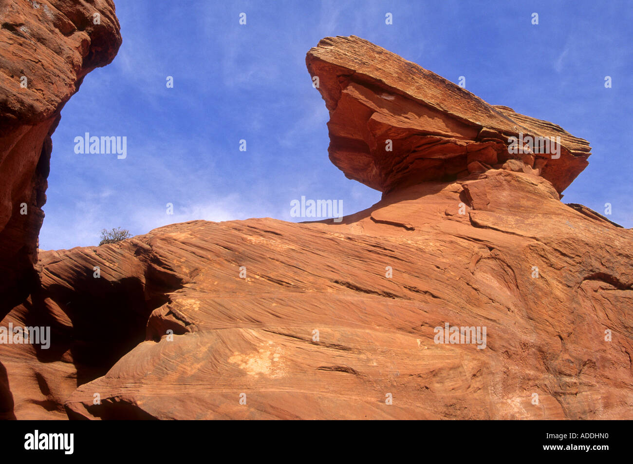 Balancing Rock near Peak a Boo Gulch near Escalante in Grand Staircase National Monument Utah USA Stock Photo