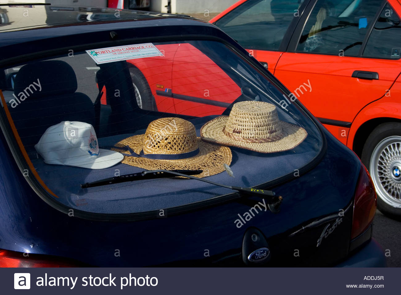 Image result for hats in back of car