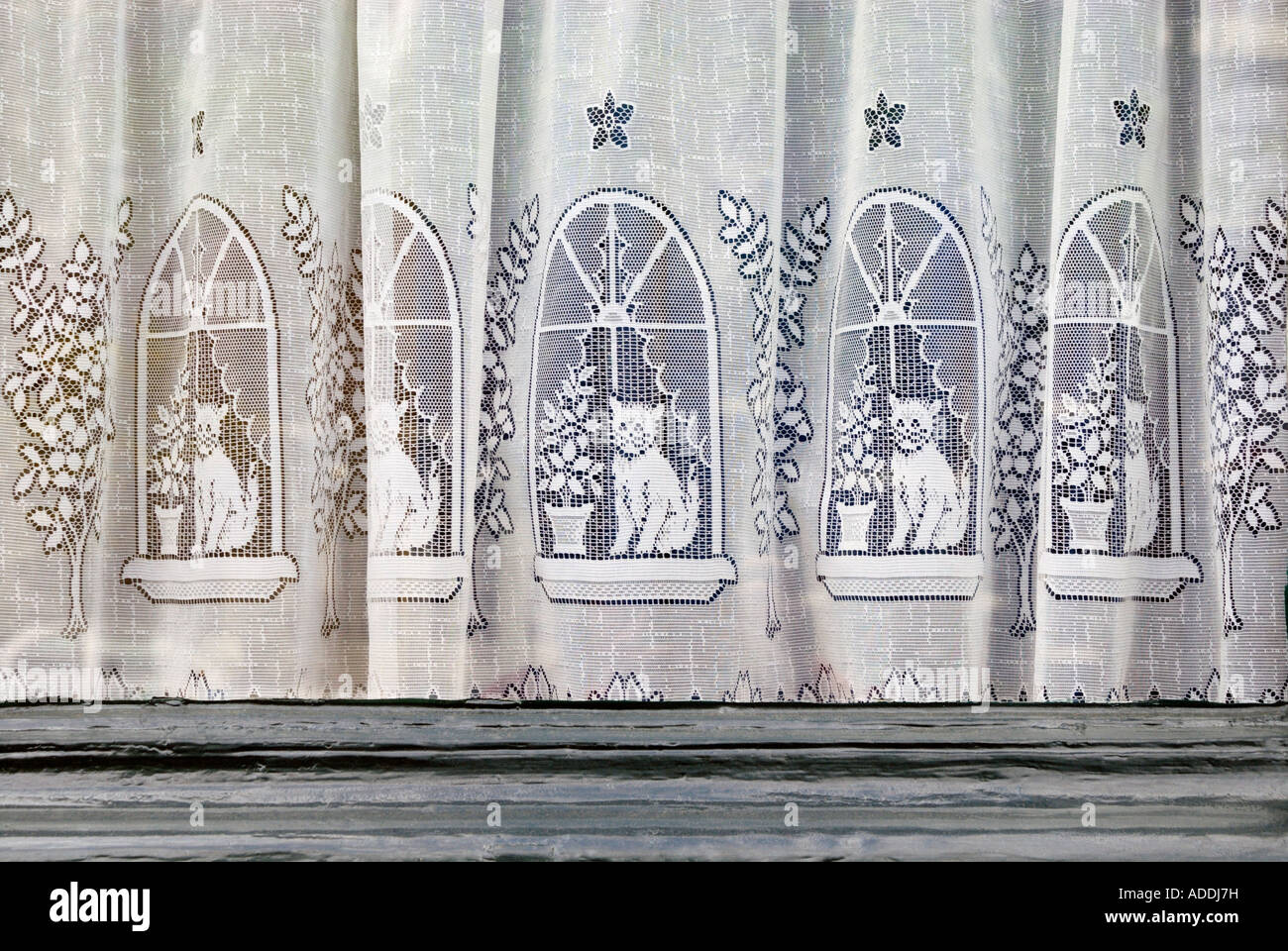 Lace curtain with pictures of cats on window of Amsterdam home Stock