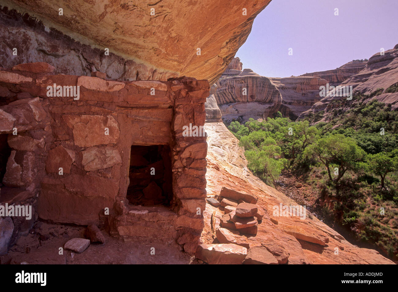 Horsecollar Ruin in White Canyon occupied by the Anasazi Natural