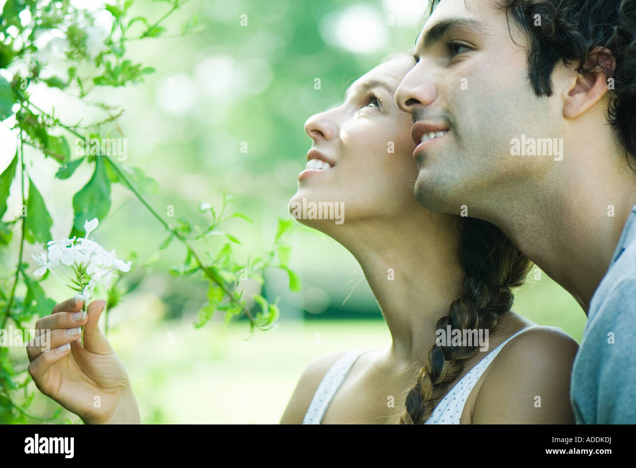 Couple looking at flowering plant together Stock Photo - Alamy