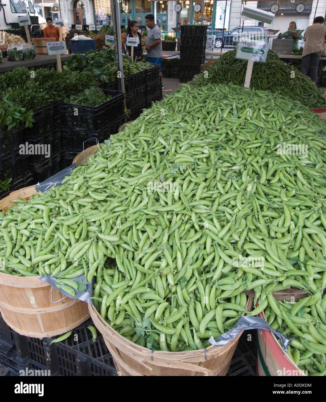 Union Square Market in Manhattan Stock Photo Alamy