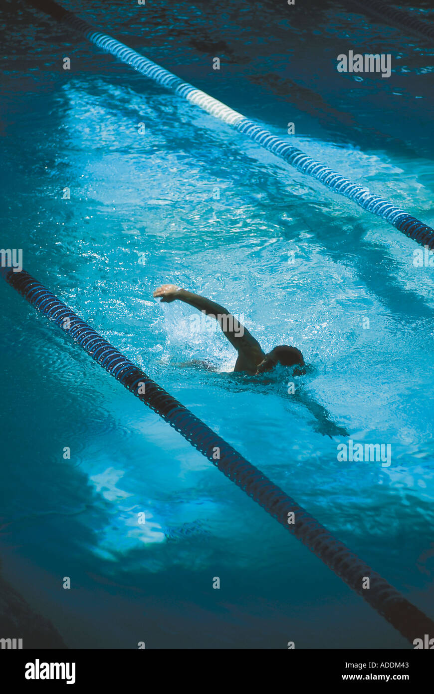Schwimmer beim Kraulen Stock Photo