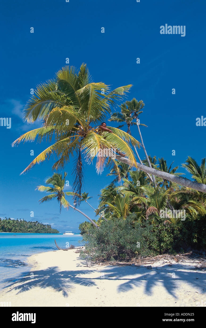Insel Cook Insel, Aituaki Lagune, Cook Islands Suedsee Stock Photo - Alamy