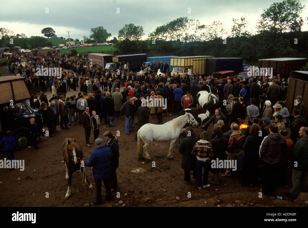 Horses Appleby Gypsy Fair dealers selling horses. Shoeing horses for