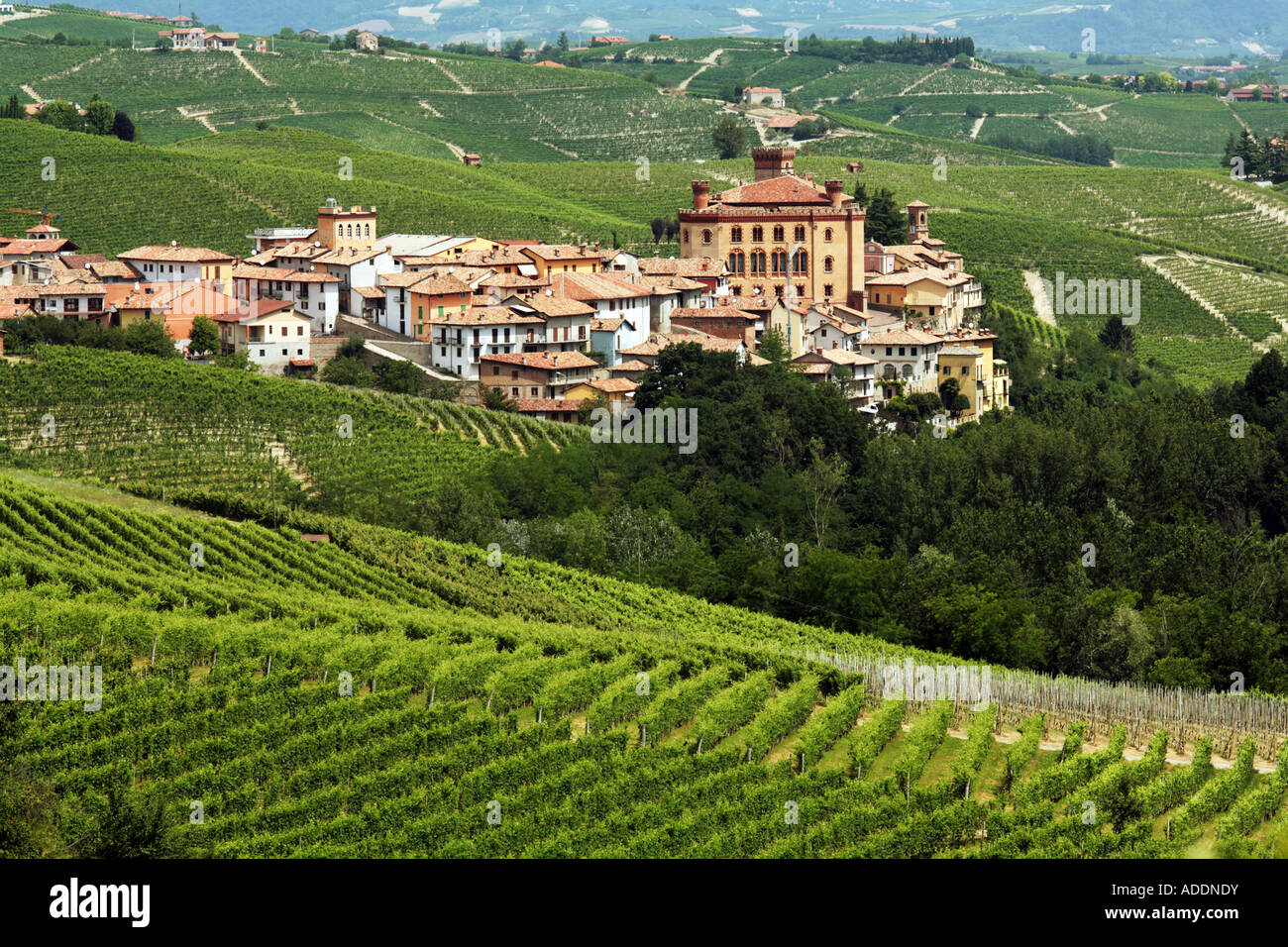 Wine growing village of Barolo Piemonte Italy Stock Photo Alamy