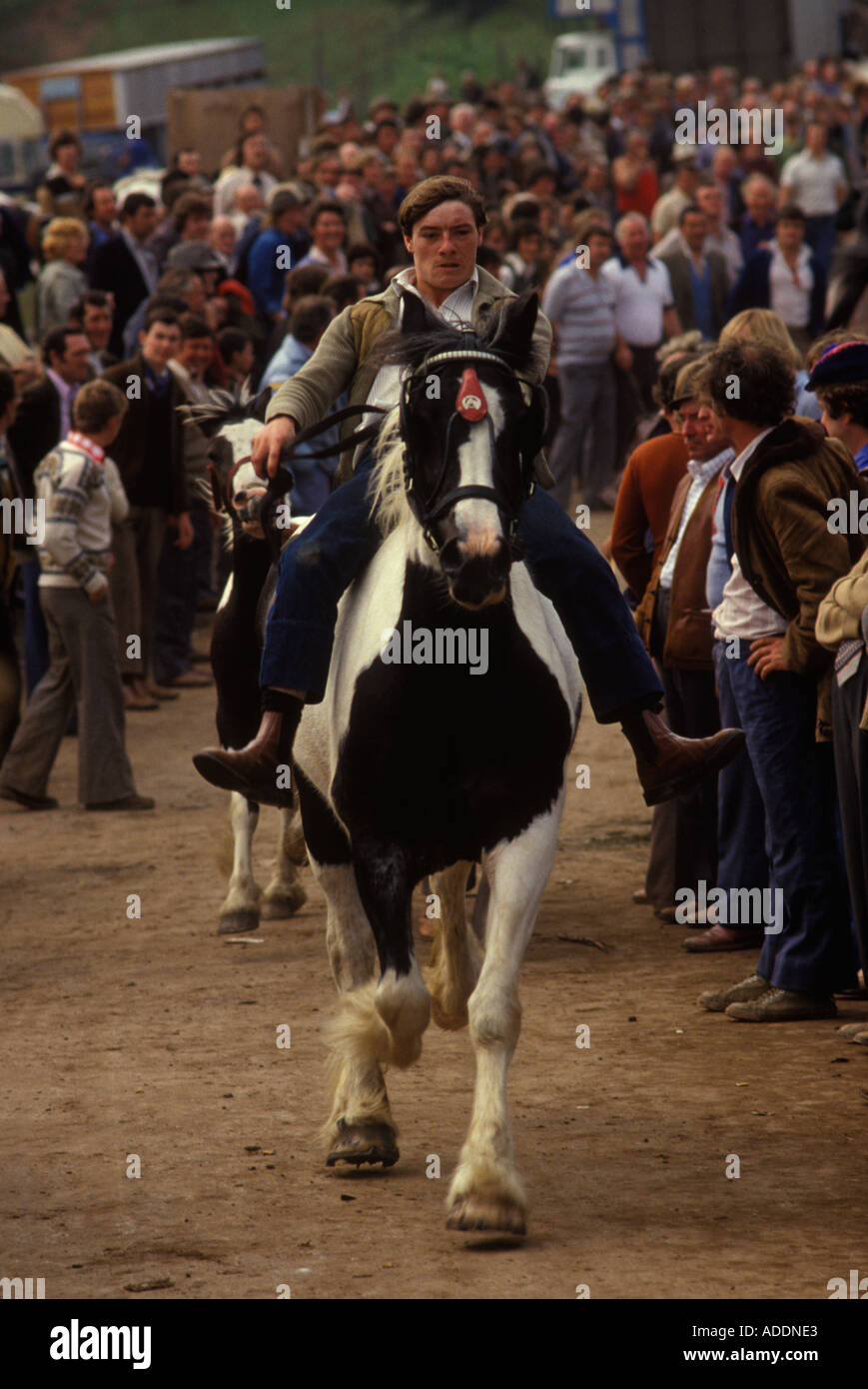 Horse dealer riding horse through crowd showing it to dealers Appleby