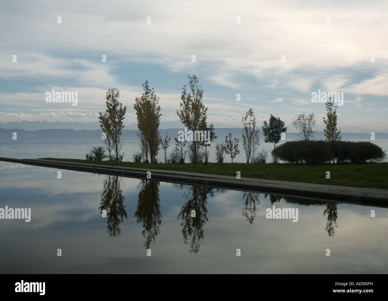 Seascape with trees reflected in water Stock Photo - Alamy
