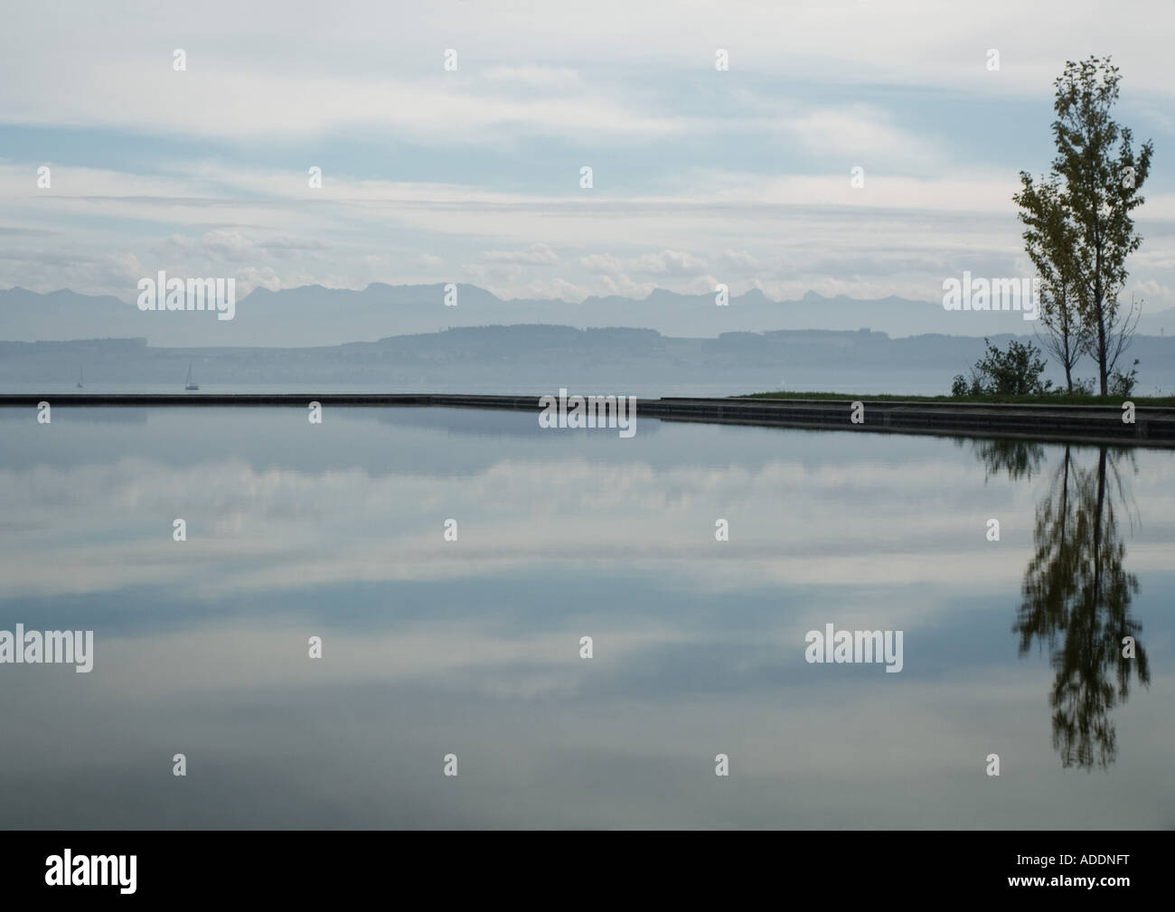 Seascape with tree reflected in water Stock Photo - Alamy