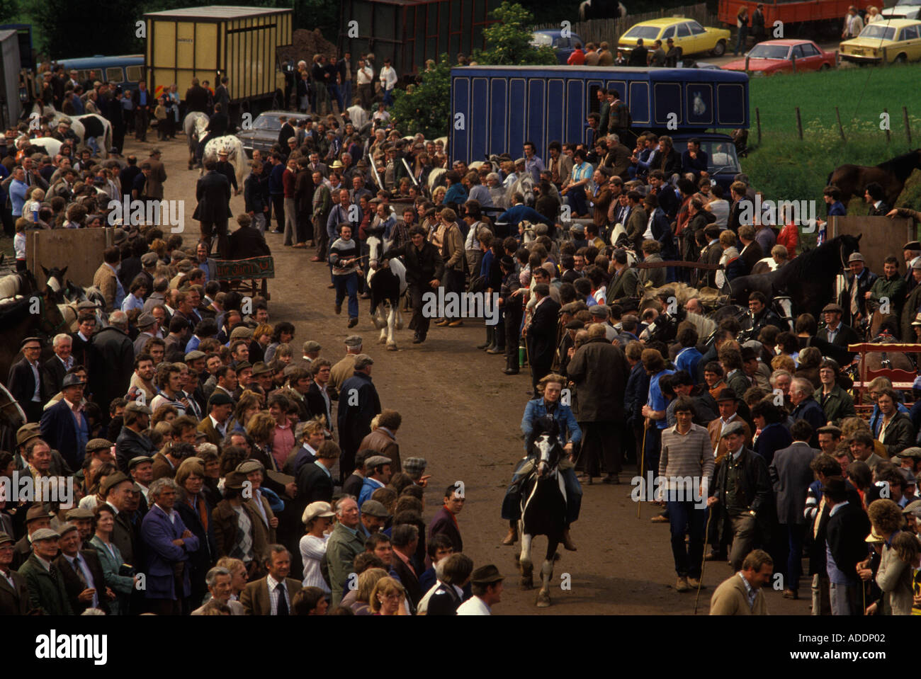 Horses, dealer riding horse through crowd showing the horse to dealers