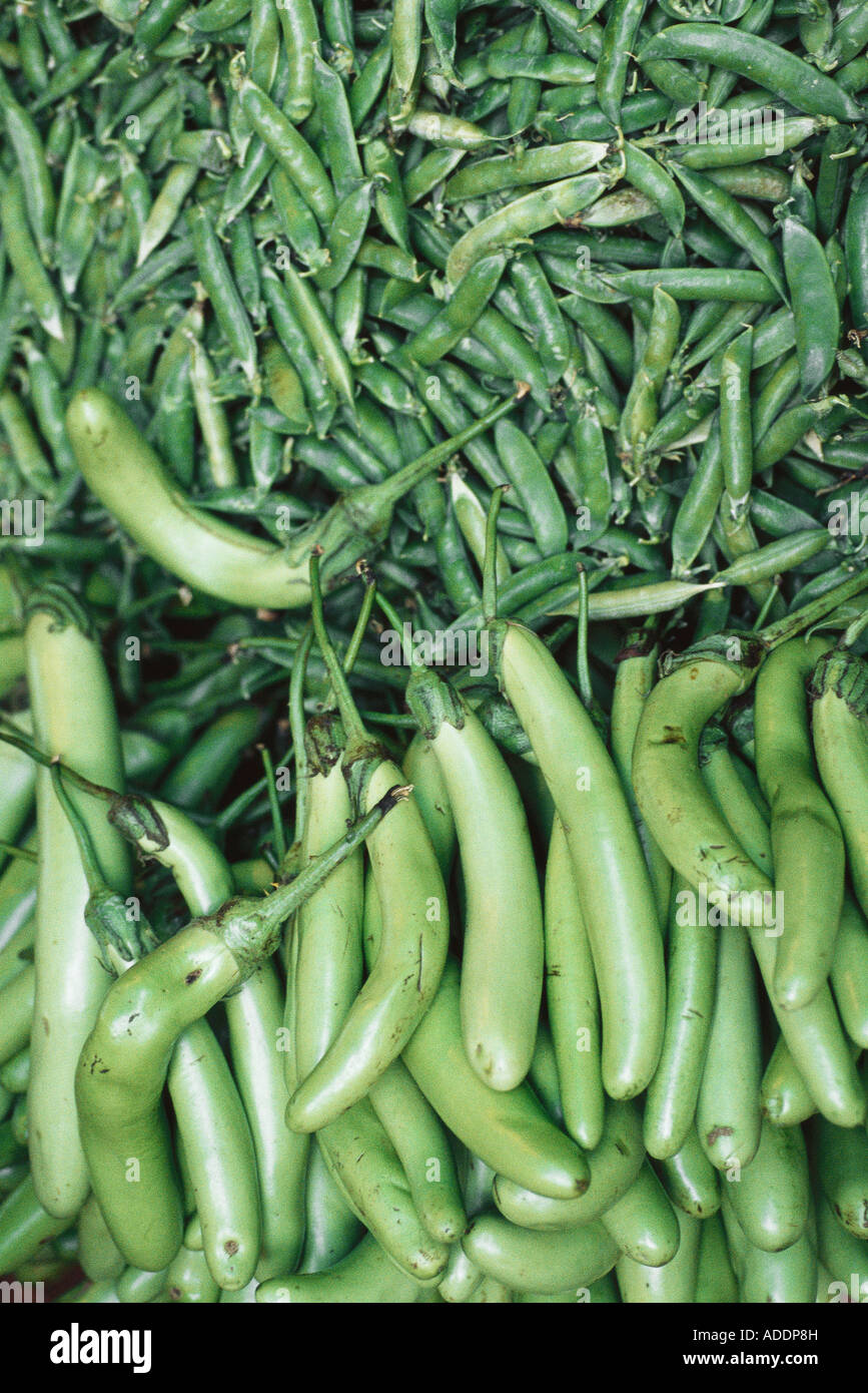 Wild Eggplant High Resolution Stock Photography and Images Alamy