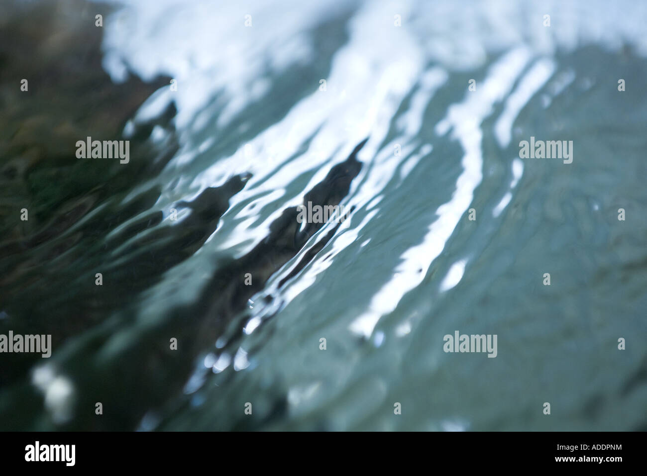 Surface of water, extreme closeup Stock Photo Alamy