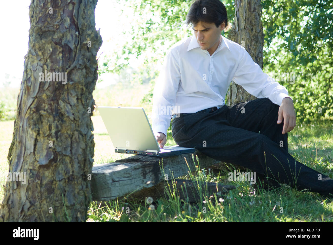 Businessman sitting on bench, under tree, using laptop Stock Photo - Alamy