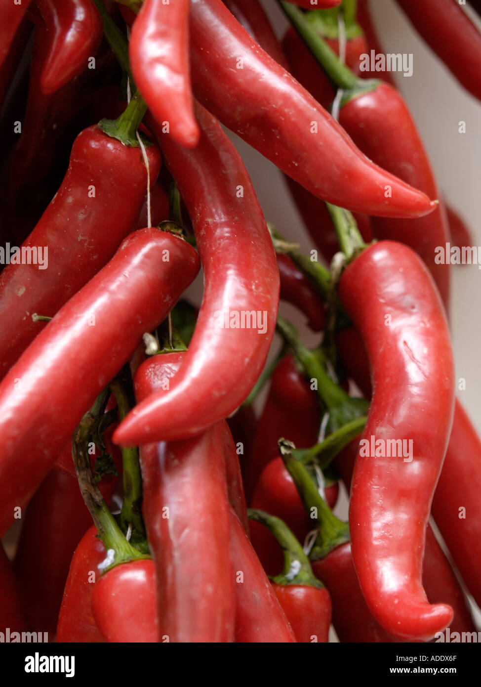 chillie peppers in Amalfi Stock Photo