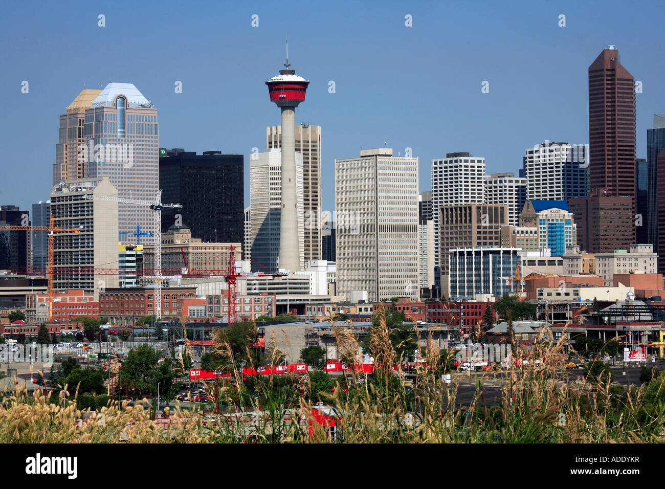 Canada Alberta Calgary skyline Stock Photo - Alamy