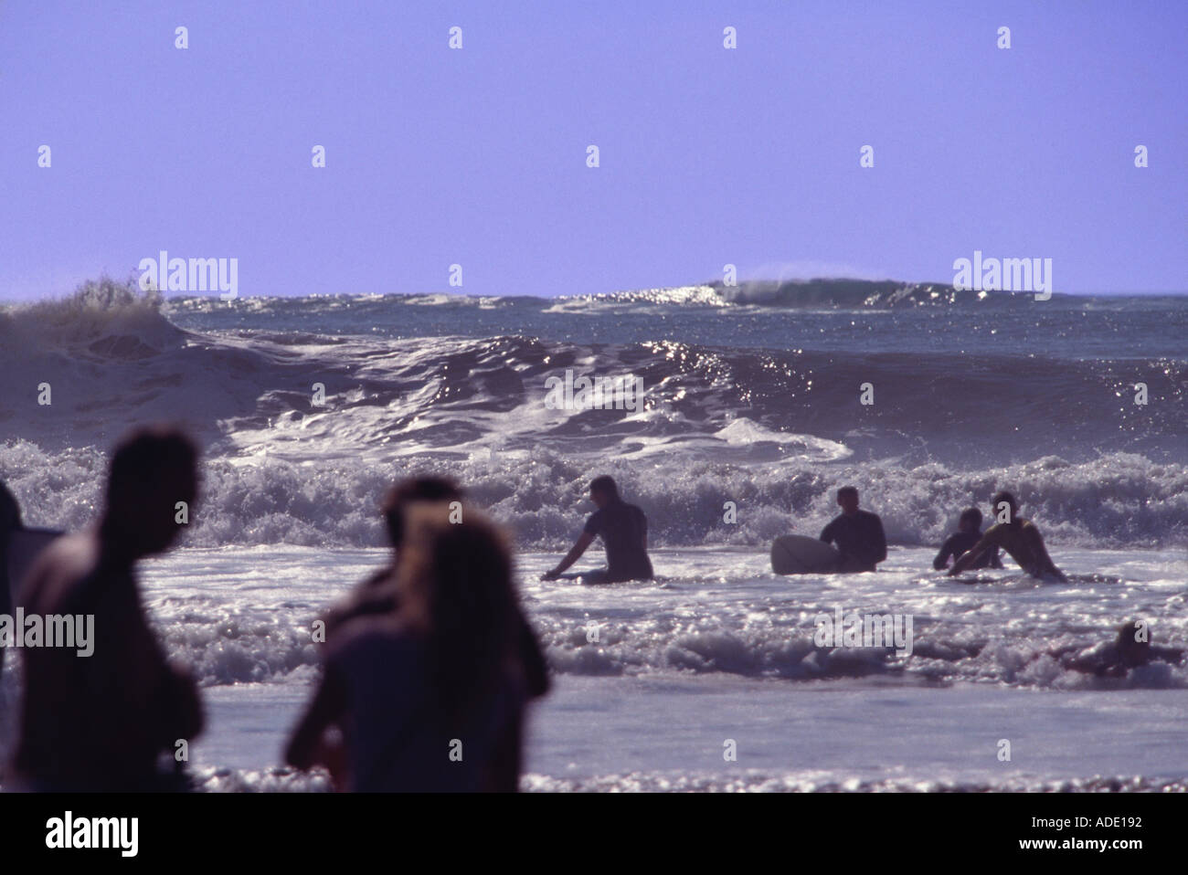 Surfers & boogie boarders watch a huge wave breaking at Oyster Falls ...