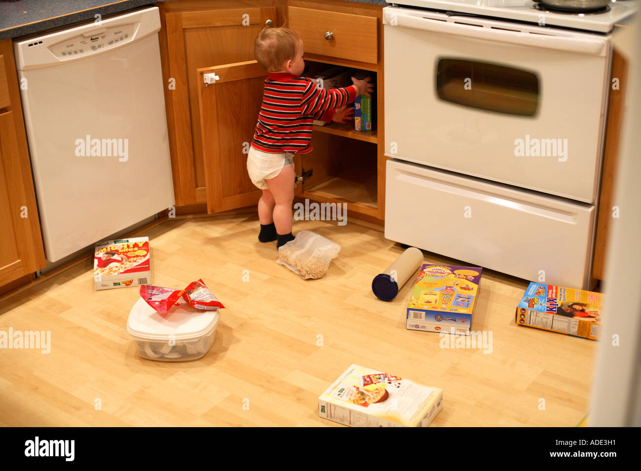 One year old boy in kitchen getting things out of cupboards Stock Photo