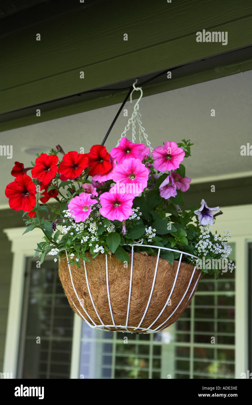 Hanging baskets on front porch of home Stock Photo Alamy