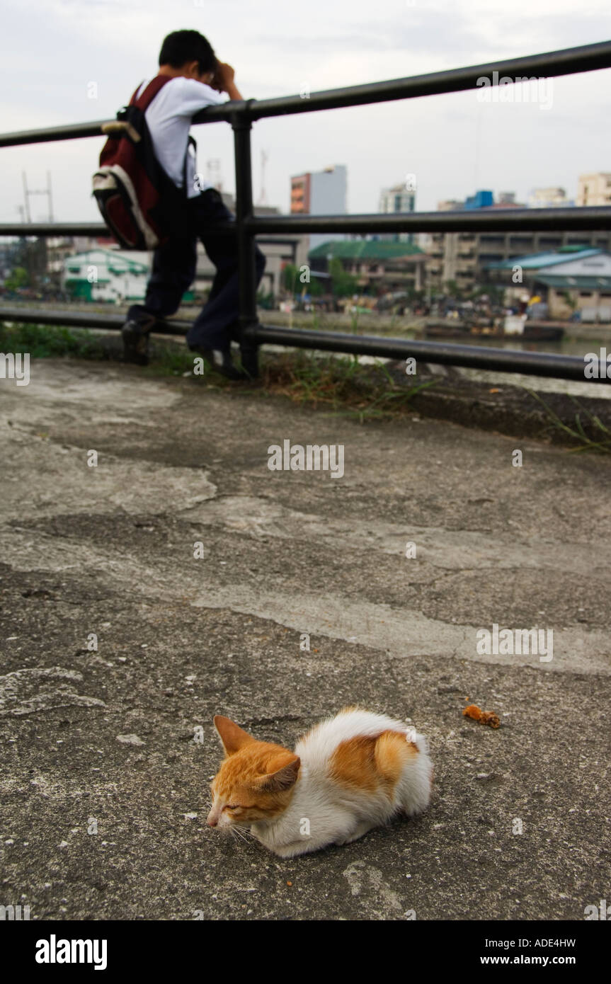Philippines Manila Small Kitten and Boy near River Pasig Stock Photo