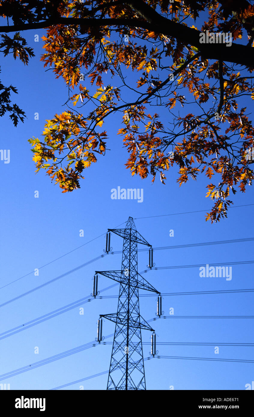 Autumn colour and pylon 1 Stock Photo