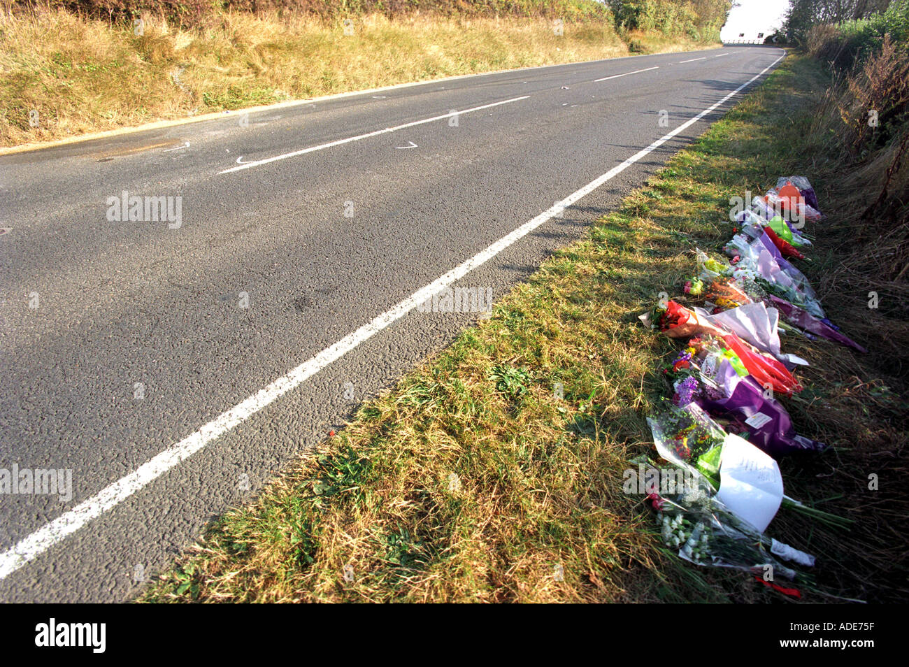Flowers at the site of a fatal traffic accident Stock Photo Alamy