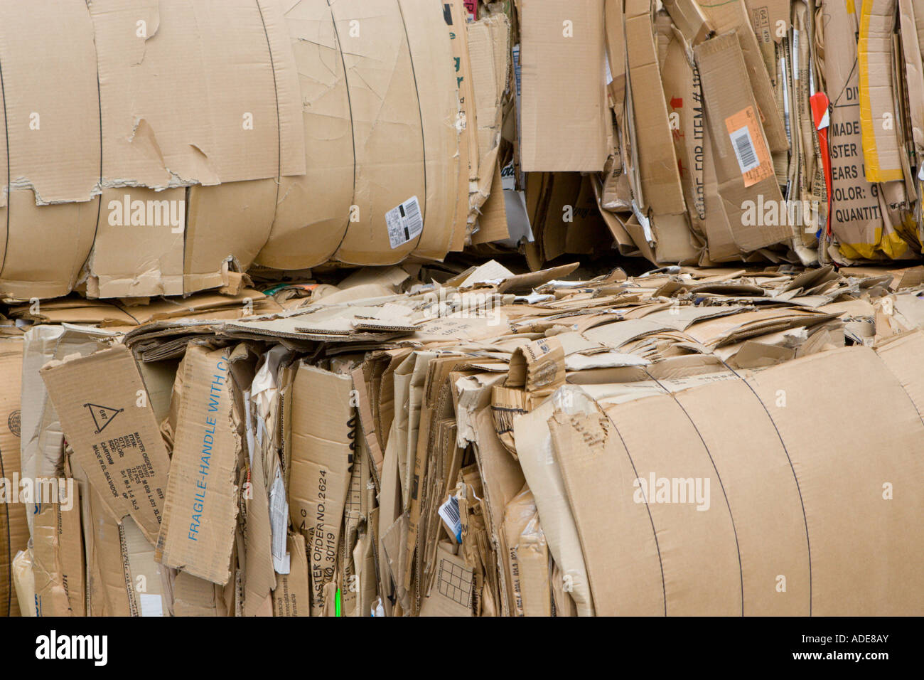 Cardboard Cartons Bundled For Recycle Pick Up Stock Photo Alamy cardboard-cartons-bundled-for-recycle-pick-up-stock-photo-alamy