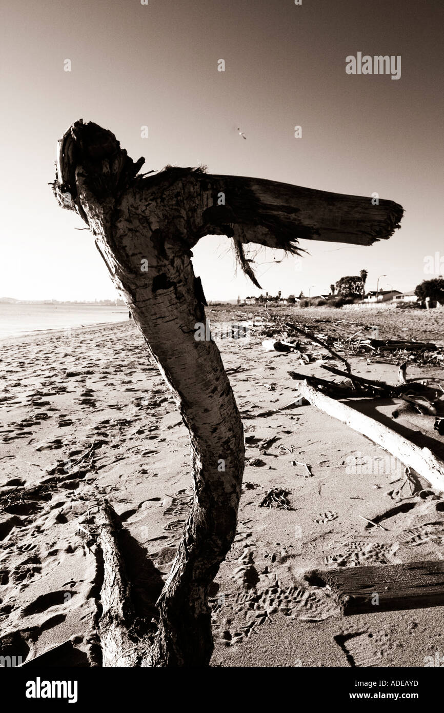 Wooden beach art Stock Photo Alamy