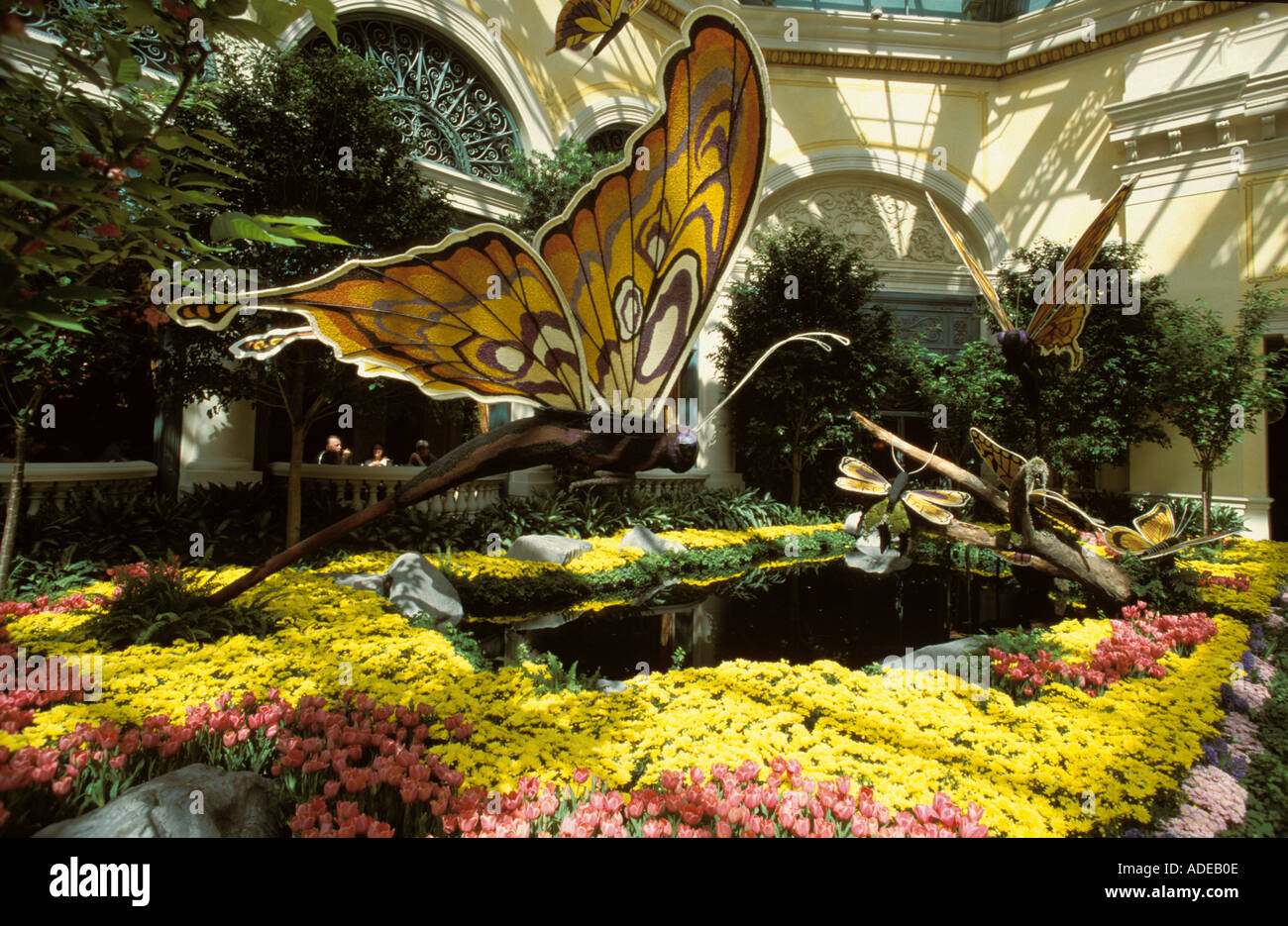 Butterfly Garden in Las Vegas, NV