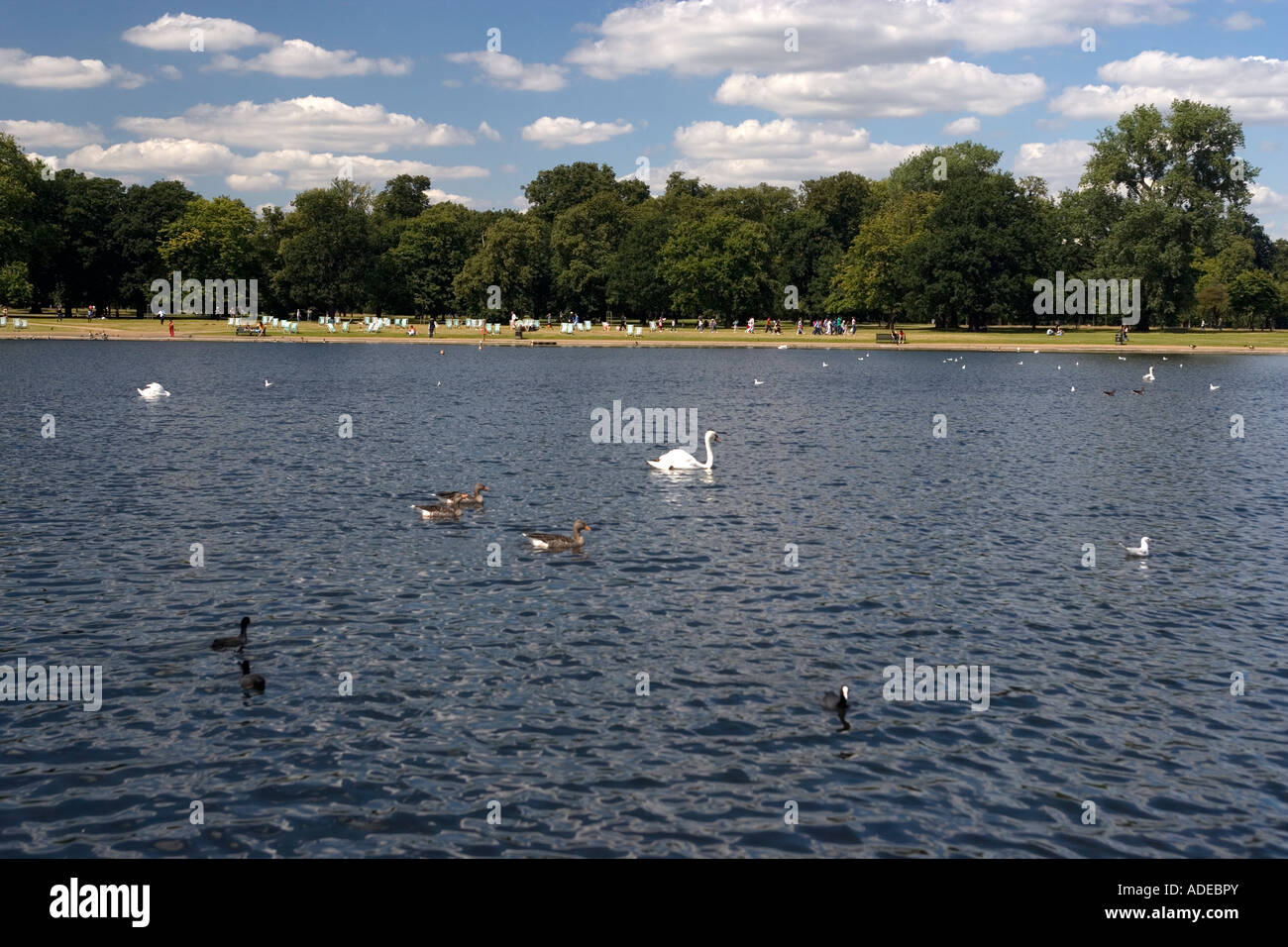 The Round Pond Kensington Gardens London England Stock Photo Alamy