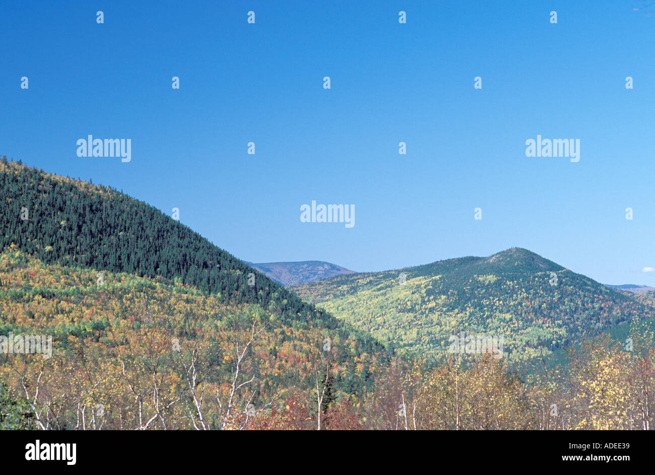 Appalachian Mountains New Brunswick which start in the United States
