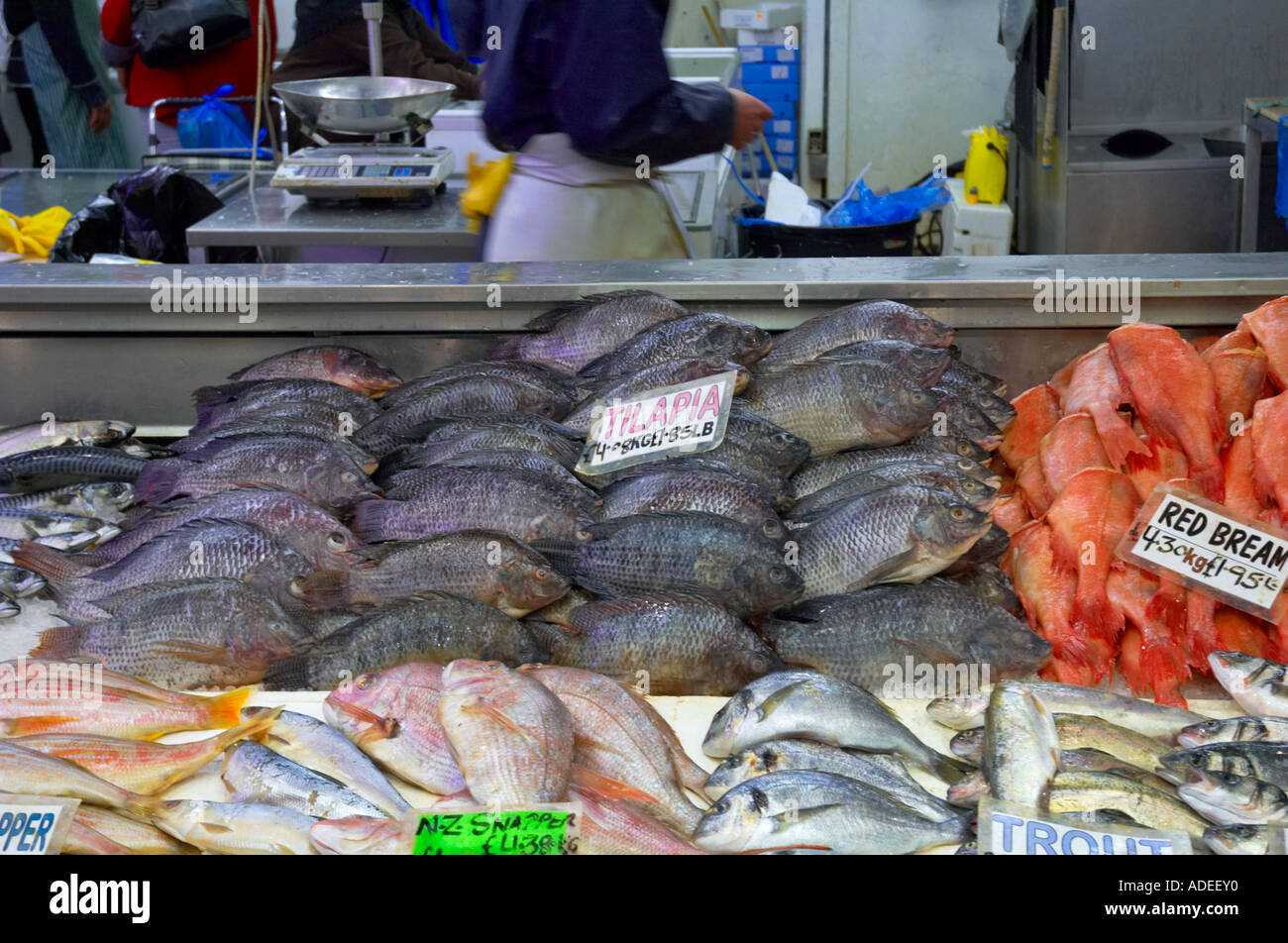 Seafood at Queens Market in Upton Park East London UK Stock Photo Alamy