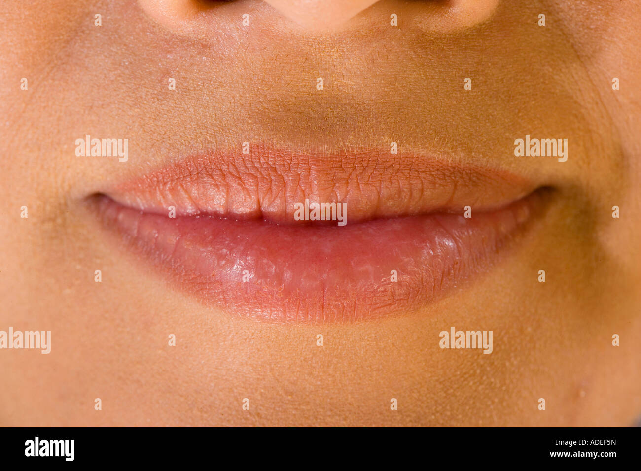 Morphology of a woman hi-res stock photography and images - Alamy