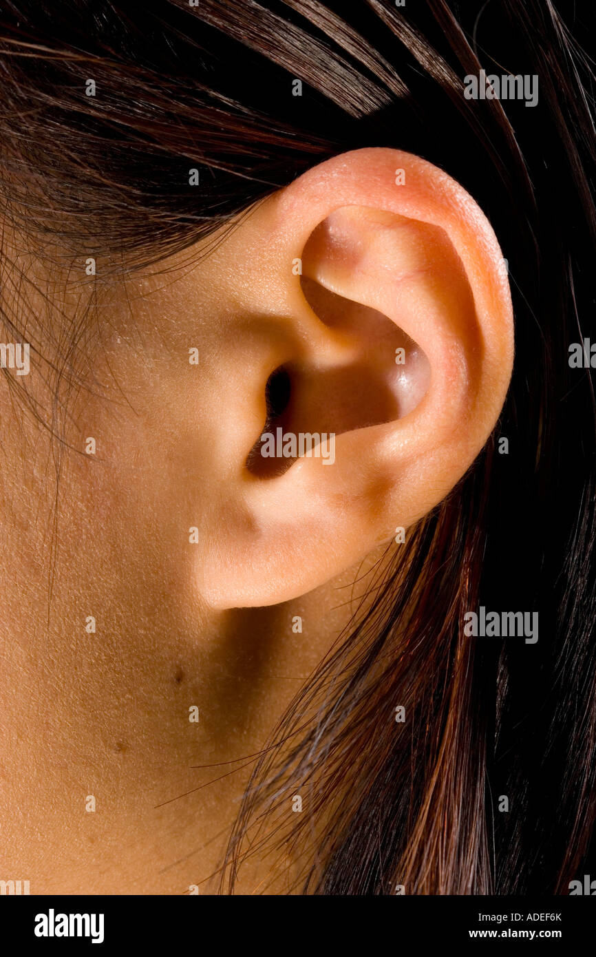 What? I said its a close-up of a woman's ear. Stock Photo