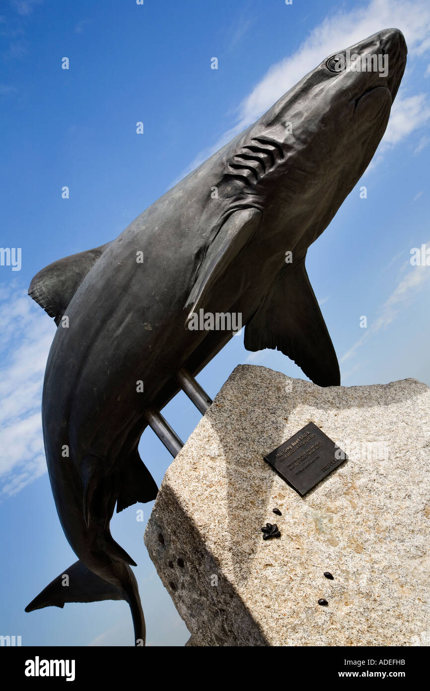 Shark Sculpture High Resolution Stock Photography and Images Alamy