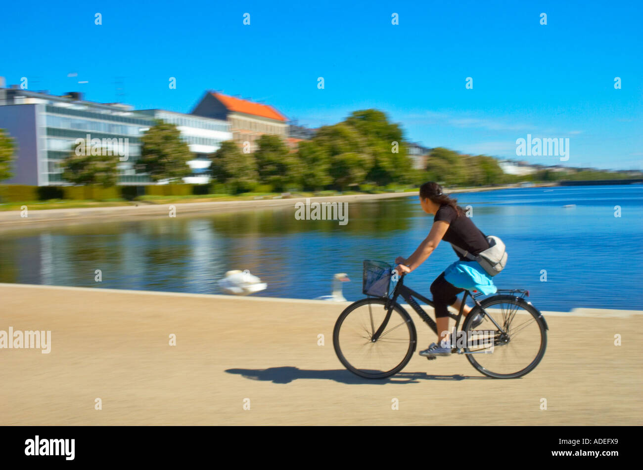 A woman cycling in Copenhagen Denmark Europe Stock Photo