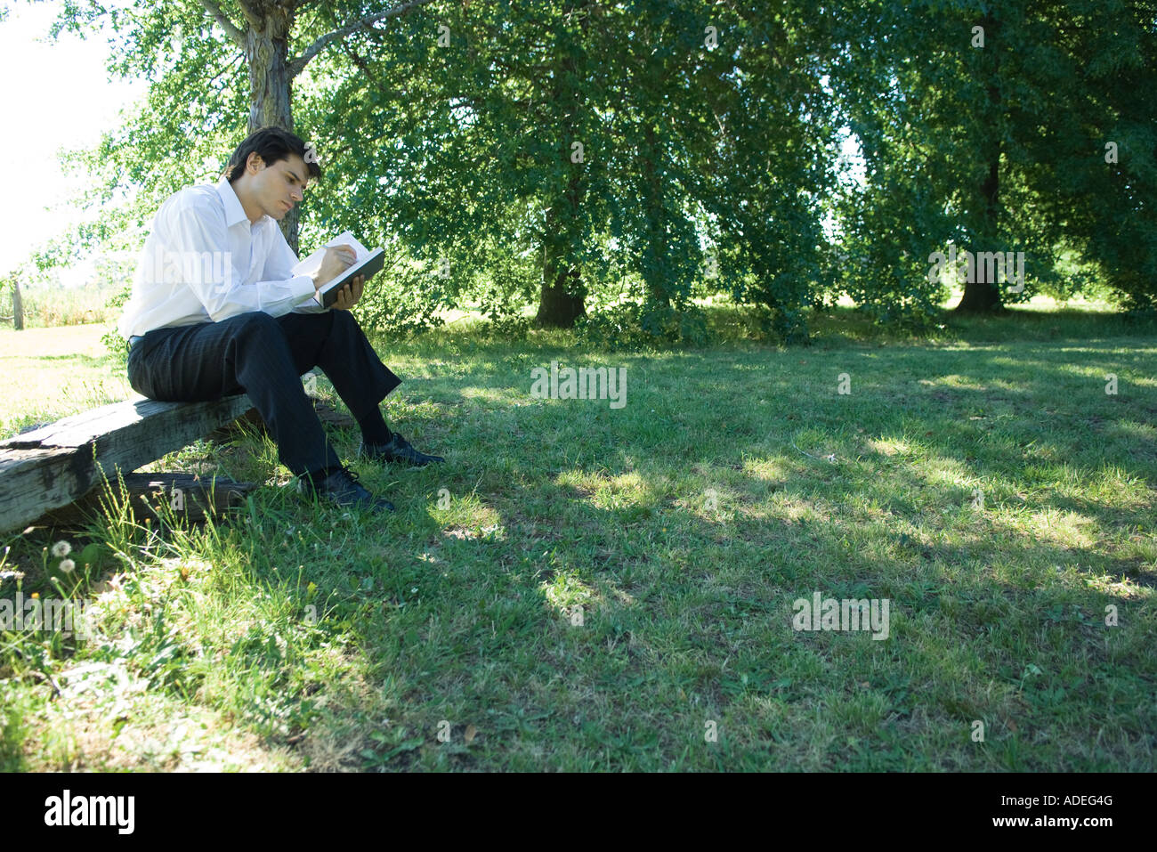 Businessman sitting on bench, under tree, using laptop Stock Photo - Alamy