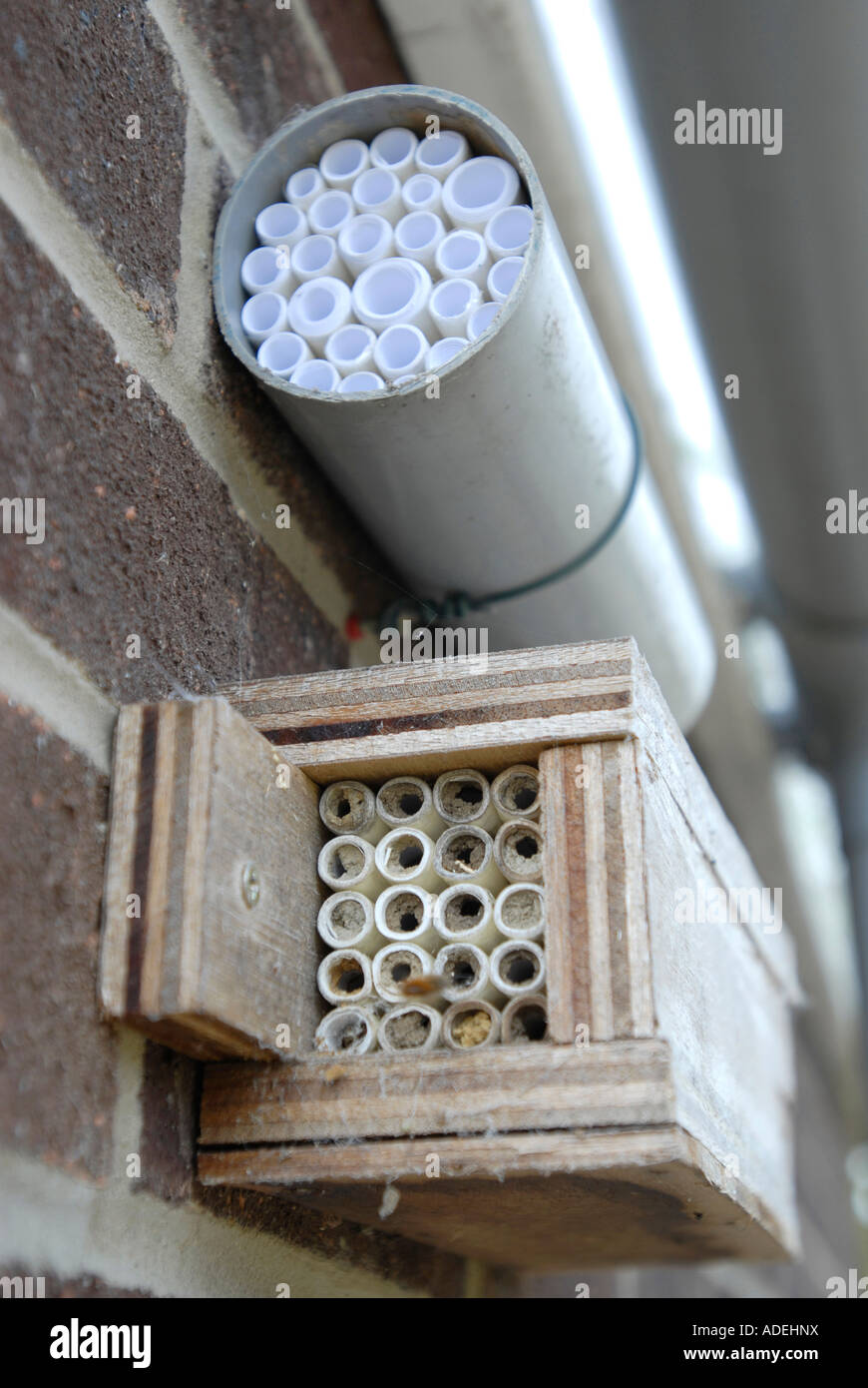 Masonry bee hires stock photography and images Alamy
