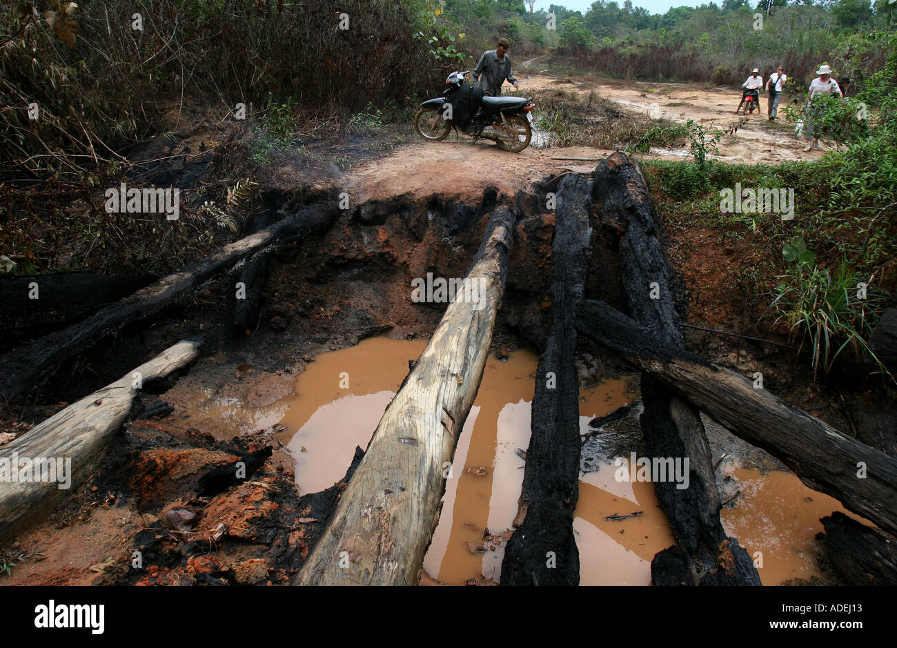 Forest Inaccessible Deep in the heart of Cambodia s remote and inaccessible Cardamon forest ...