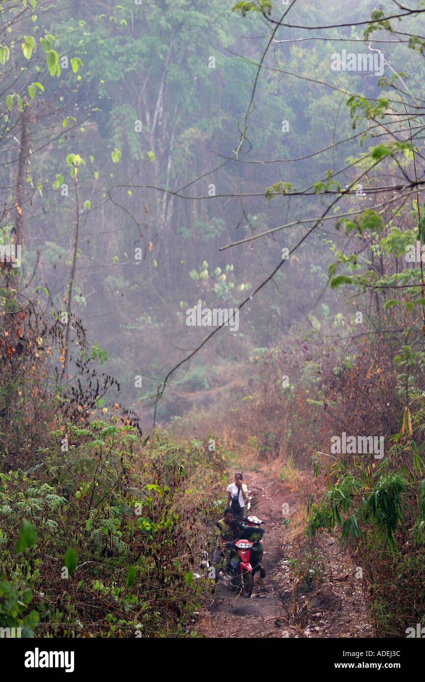 Forest Inaccessible Deep in the heart of Cambodia s remote and inaccessible Cardamon forest ...