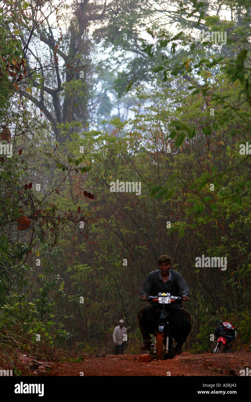 Forest Inaccessible Deep in the heart of Cambodia s remote and inaccessible Cardamon forest ...