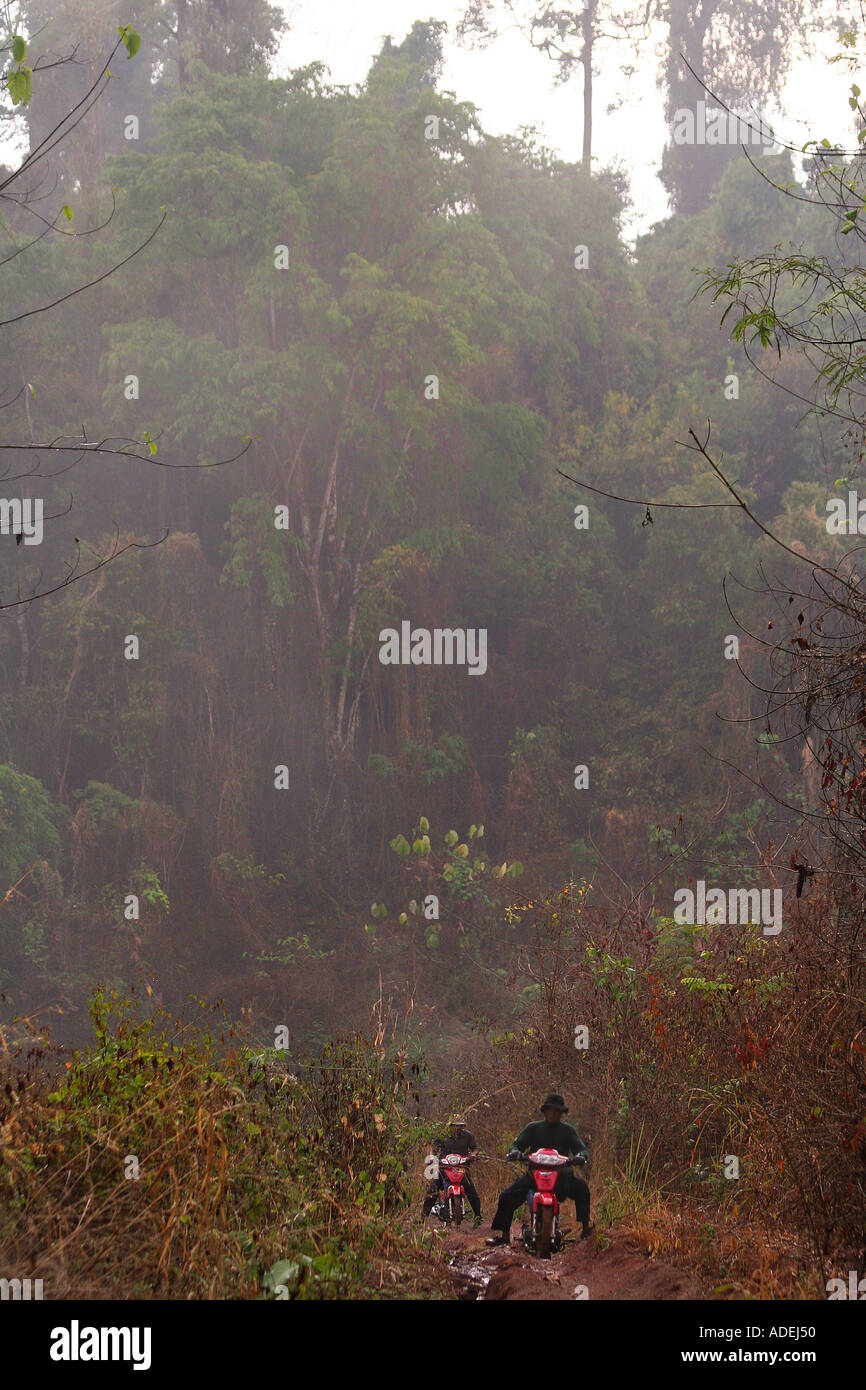 Forest Inaccessible Deep in the heart of Cambodia s remote and inaccessible Cardamon forest ...