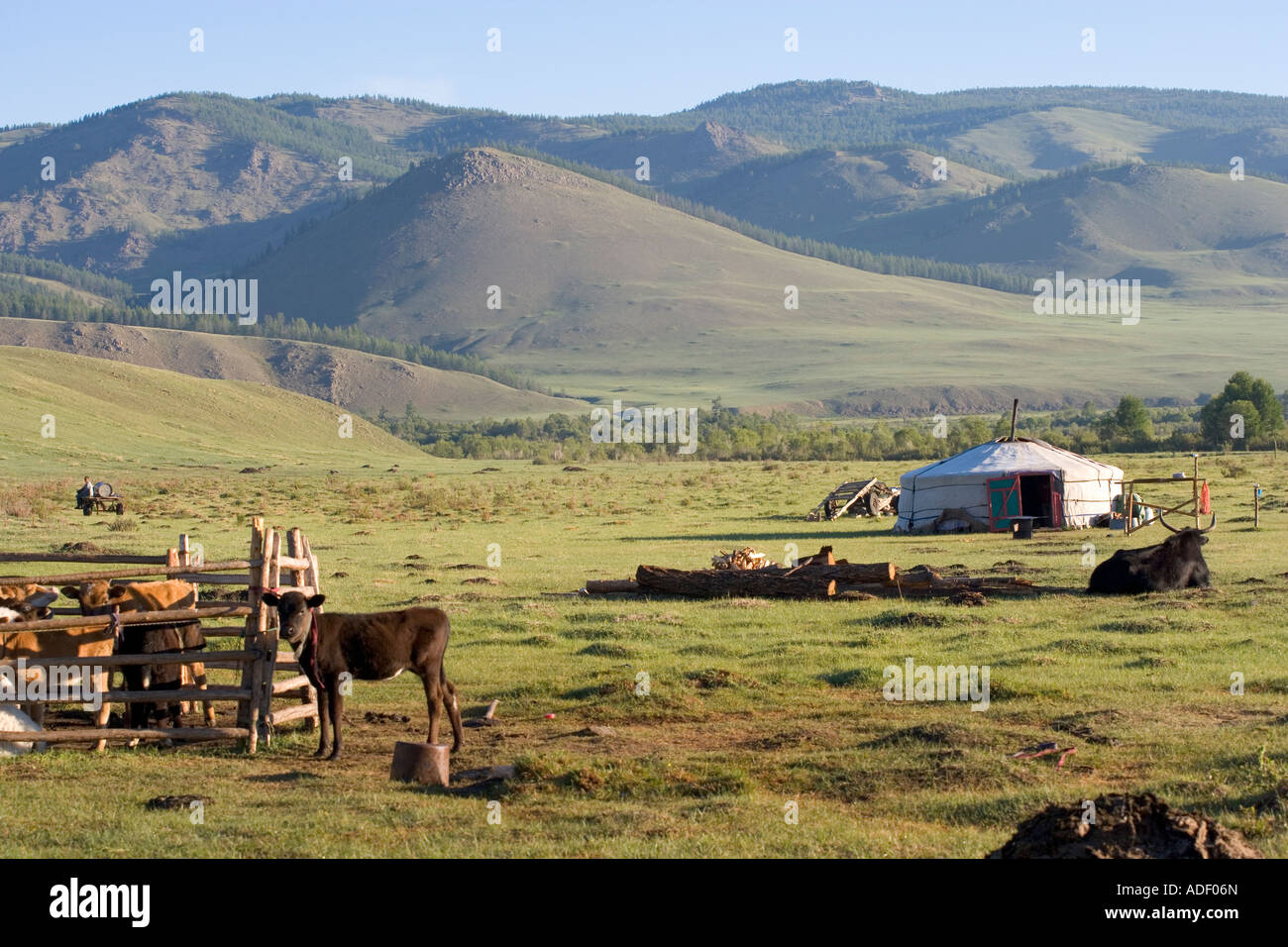 a yurt in Mongolia Stock Photo - Alamy