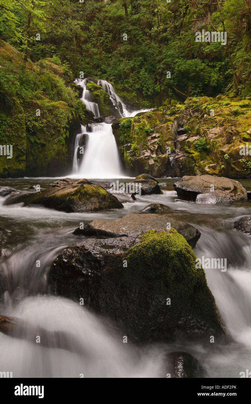 Sweet Creek Waterfalls near Mapleton, Oregon Stock Photo - Alamy