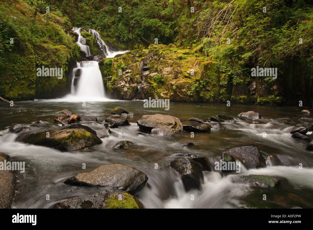 Sweet Creek Waterfalls near Mapleton, Oregon Stock Photo - Alamy