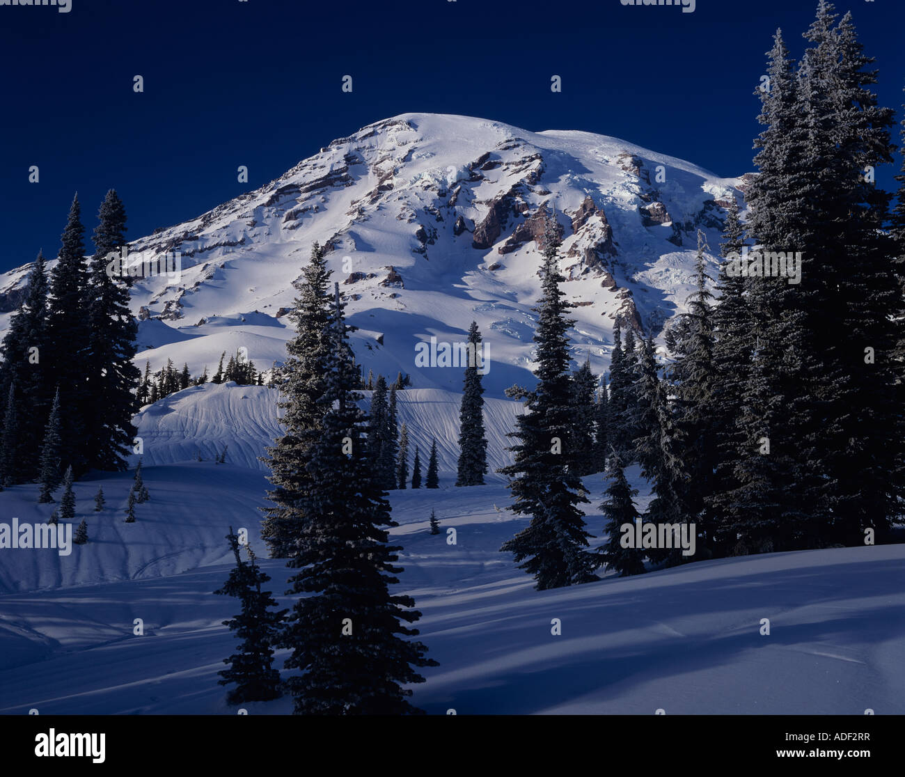 Mount Rainier National Park Mount Rainier with snow late afternoon ...