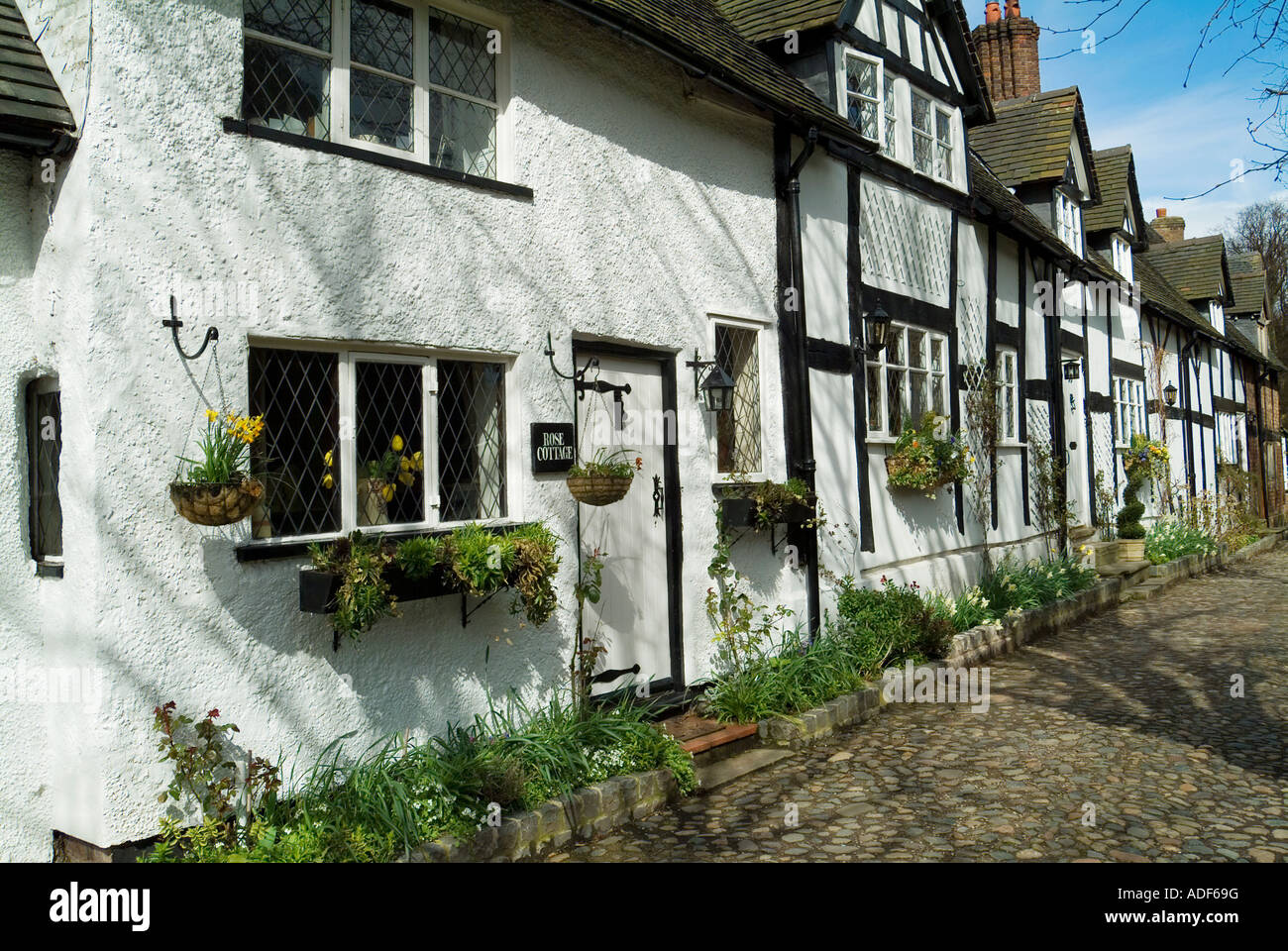 Row of period half timbered cottages in the village of Great Budworth near Northwich in Cheshire England UK Britain Stock Photo