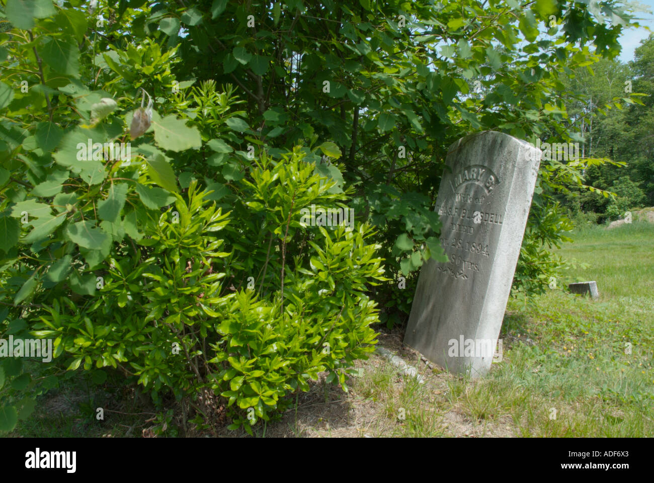 Old weathered headstones in an scenic New England graveyard Stock Photo ...