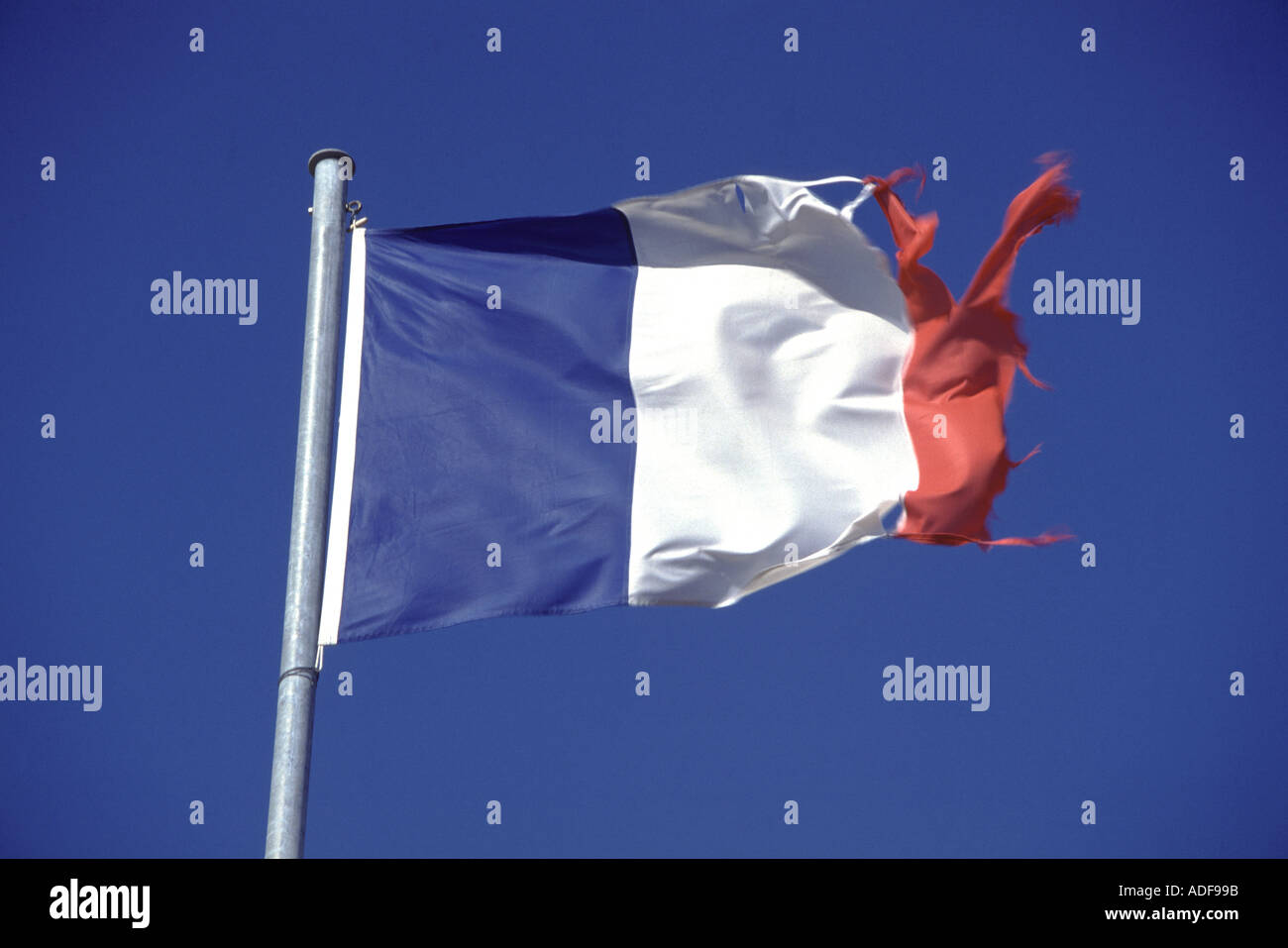French flag blowing in the wind Stock Photo Alamy